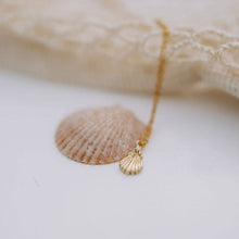 Load image into Gallery viewer, Sea Shell Necklace
