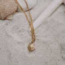 Load image into Gallery viewer, Sea Shell Necklace
